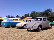 Beetle Show Rioz (29)